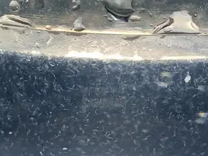 Vinegar Eel Culture