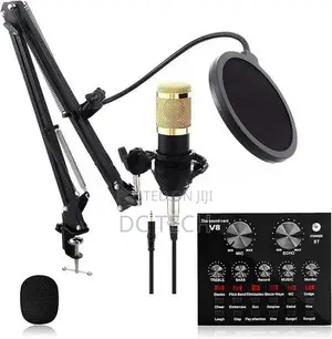 Bm 800 Professional Condenser Microphone