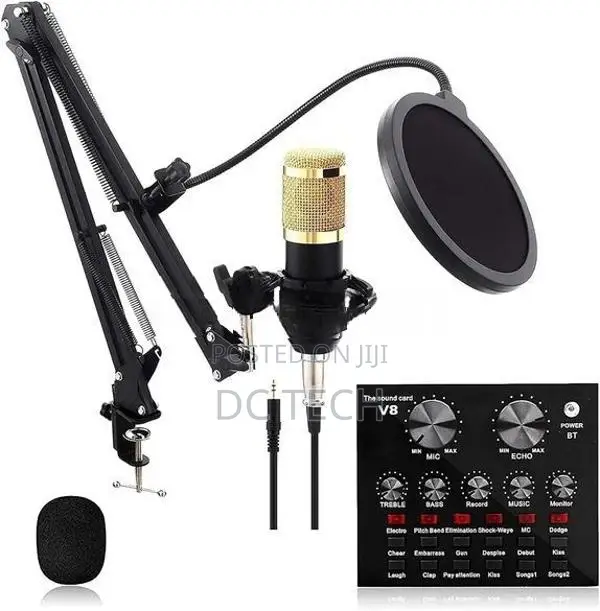 Bm 800 Professional Condenser Microphone