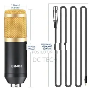 Bm 800 Professional Condenser Microphone