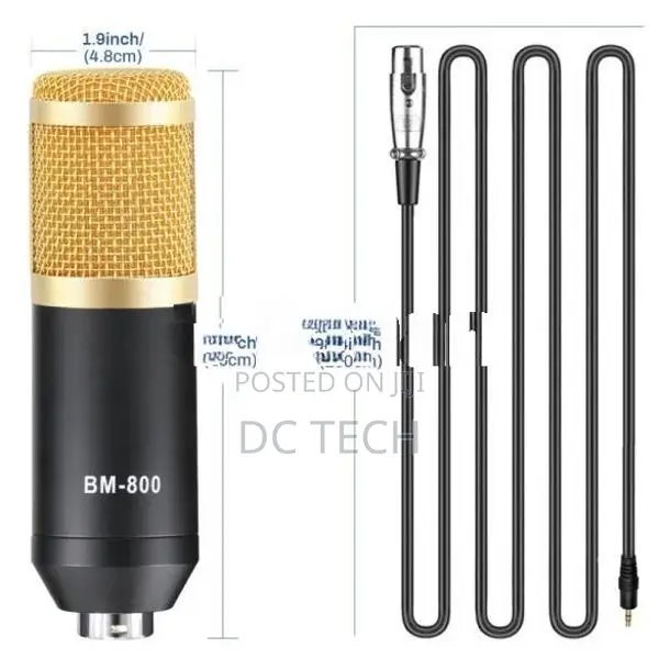 Bm 800 Professional Condenser Microphone