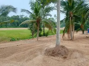 කඩවත වෑබඩ බිම් කොටස්