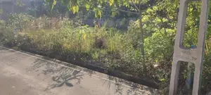 Malabe Best Residential Land for Sale in Welivita Road
