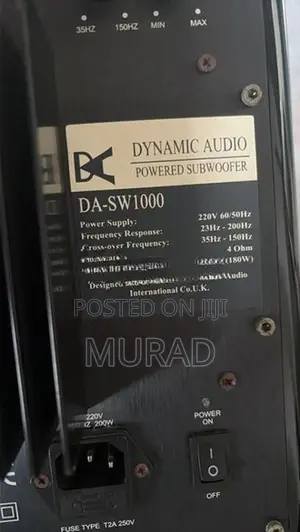Dynamic Audio 10” Subwoofer