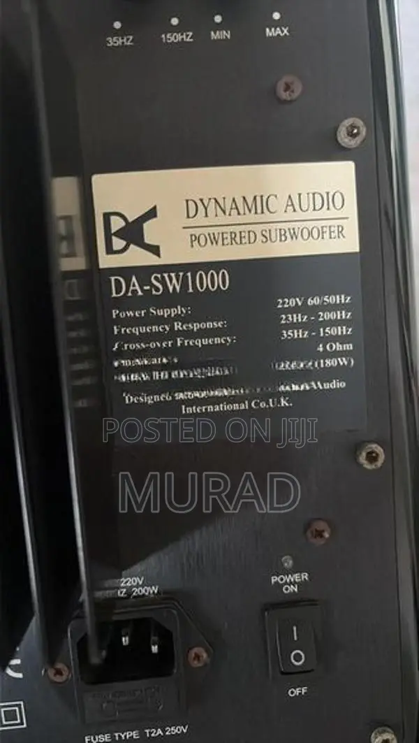 Dynamic Audio 10” Subwoofer