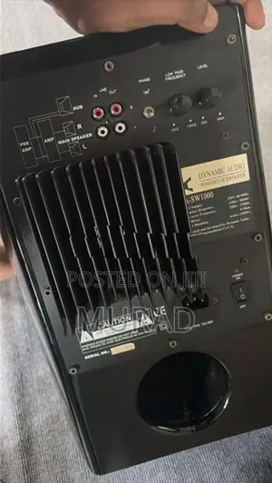Dynamic Audio 10” Subwoofer