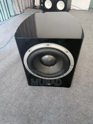 Dynamic Audio 10” Subwoofer