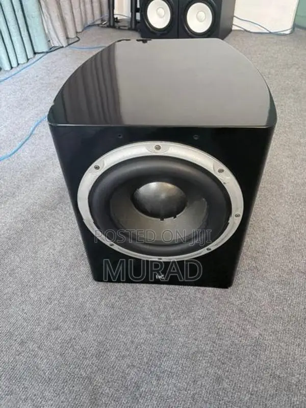 Dynamic Audio 10” Subwoofer