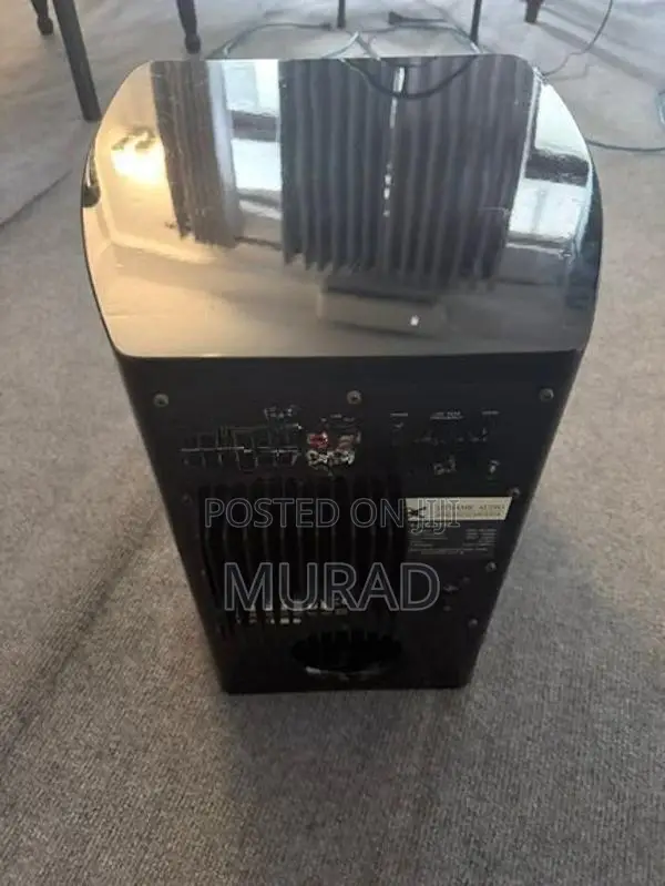 Dynamic Audio 10” Subwoofer