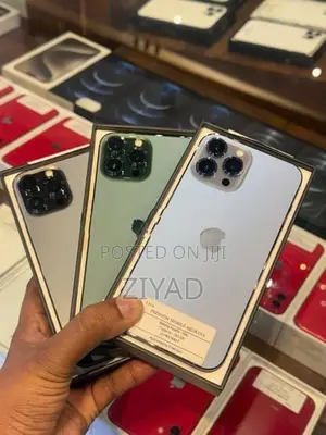 Apple iPhone 13 Pro Max 256GB (Used)