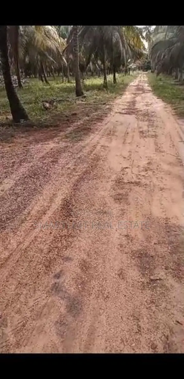 Coconut Land for Sale in Puttalam