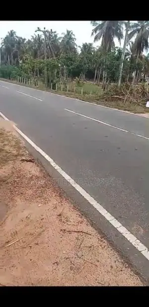 Coconut Land for Sale in Puttalam
