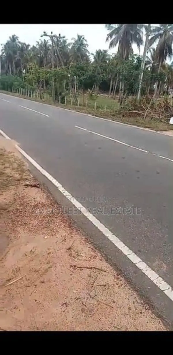 Coconut Land for Sale in Puttalam