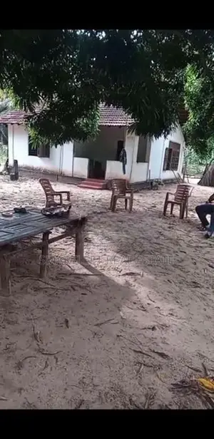 Coconut Land for Sale in Puttalam