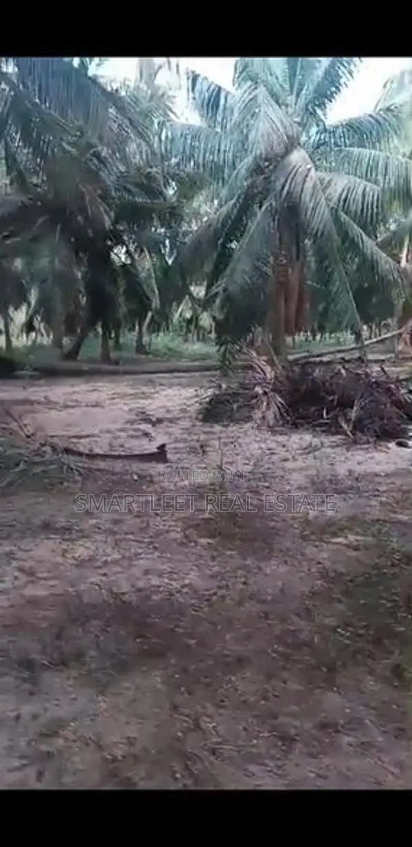 Coconut Land for Sale in Puttalam