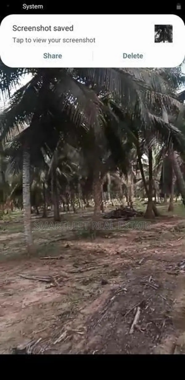 Coconut Land for Sale in Puttalam