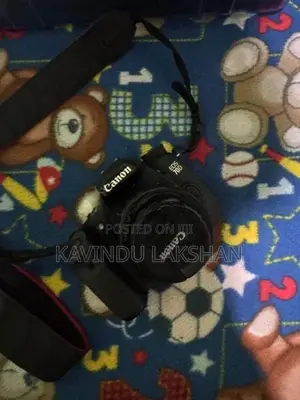 Canon 70D with 50mm Lens