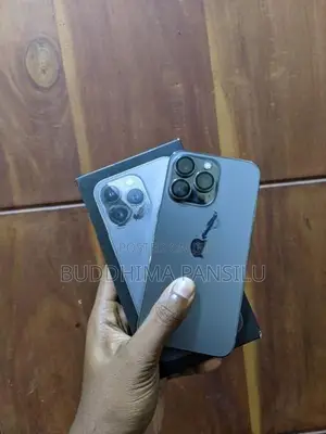 Apple iPhone 13 Pro (Used)