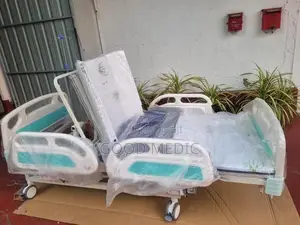 Five Function Electric Beds with Sanitory