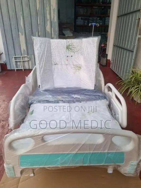 Five Function Electric Beds with Sanitory
