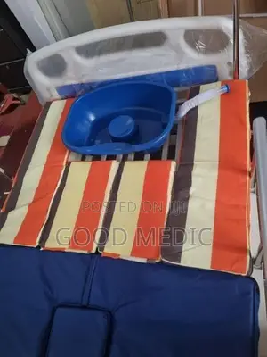 Four Function Manual Beds with Sanitory