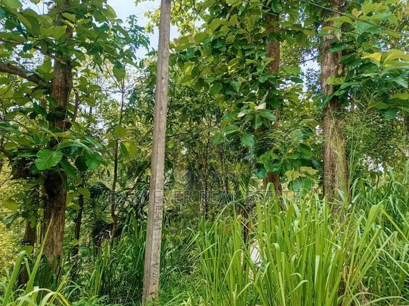 නිට්ටඹුව රුවන්වැල්ල පාරට මායිම් වූ වටිනා ඉඩමක්