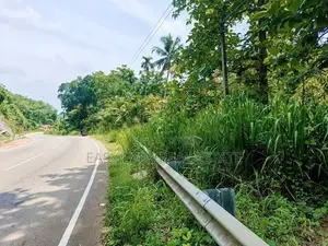 නිට්ටඹුව රුවන්වැල්ල පාරට මායිම් වූ වටිනා ඉඩමක්
