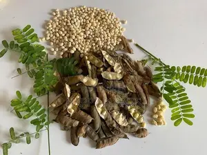 Madatiya Seeds