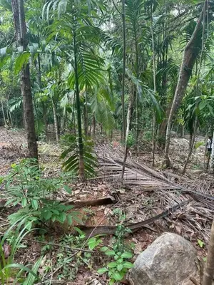 නිට්ටඹුව රුවන්වැල්ල පාරට මායිම් වූ වටිනා ඉඩමක්