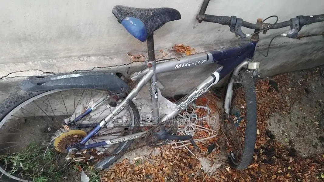 Mountain Bicycle