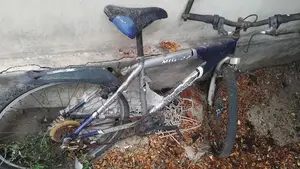 Mountain Bicycle
