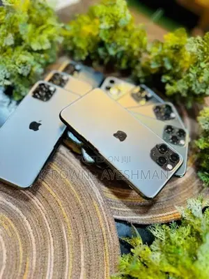 Apple iPhone 12 Pro (Used)