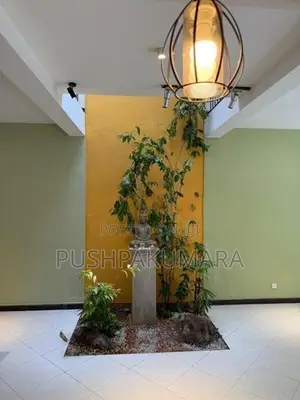 House for Rent in Colombo 05 ( File No 5384 B)