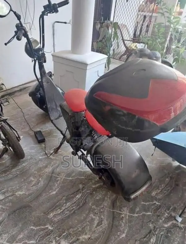 Electric Bike 2025