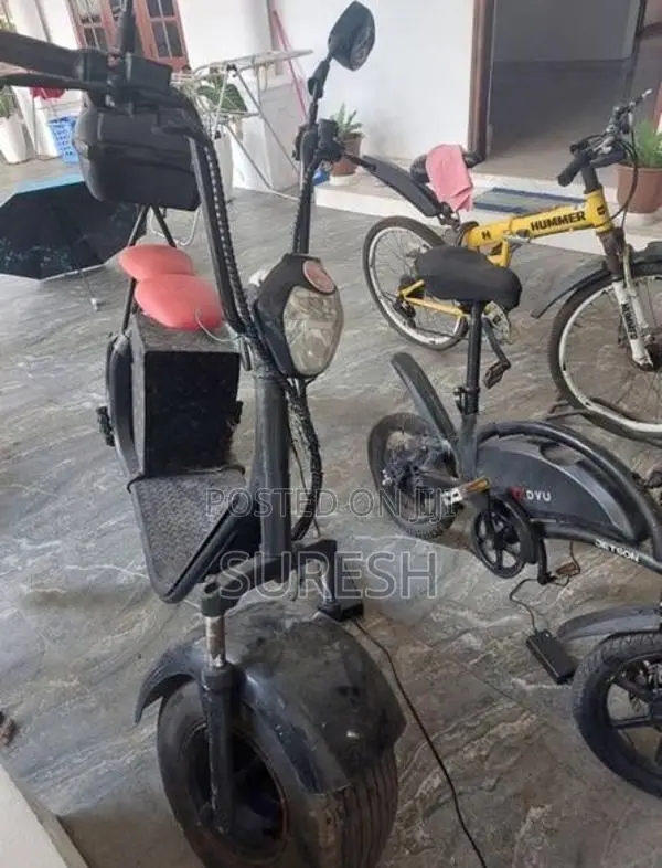 Electric Bike 2025