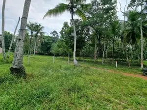 Land for Sale in Minuwangoda