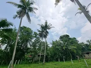 Land for Sale in Minuwangoda