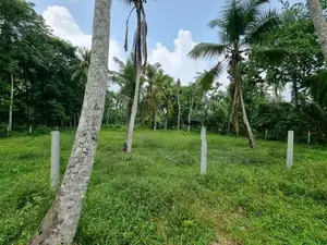 Land for Sale in Minuwangoda