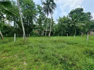 Land for Sale in Minuwangoda