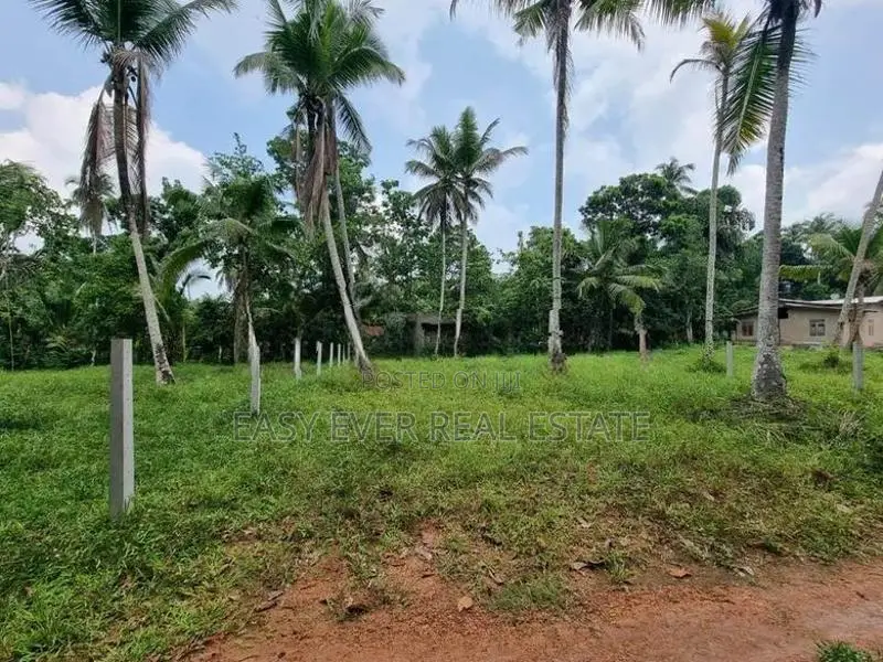 Land for Sale in Minuwangoda