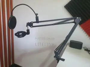 Adjustable Mic Arm