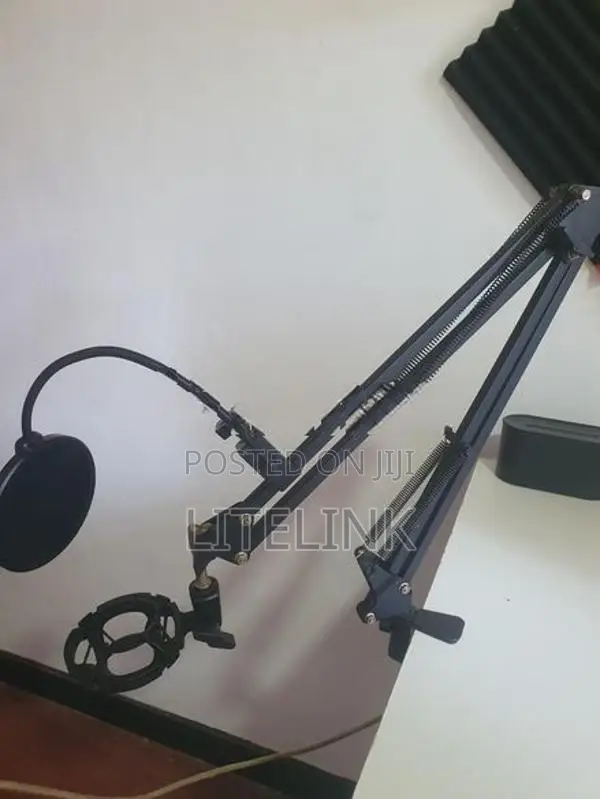 Adjustable Mic Arm