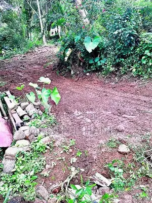 Land for Sale in Thotagoda
