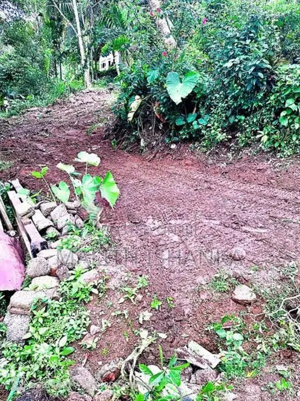 Land for Sale in Thotagoda