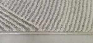 Brand New Carpet