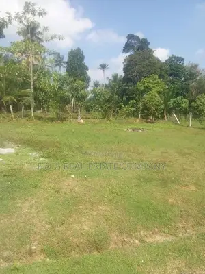 මොරගහහේන බිම් කොටස් කීපයක් විකිණීමට