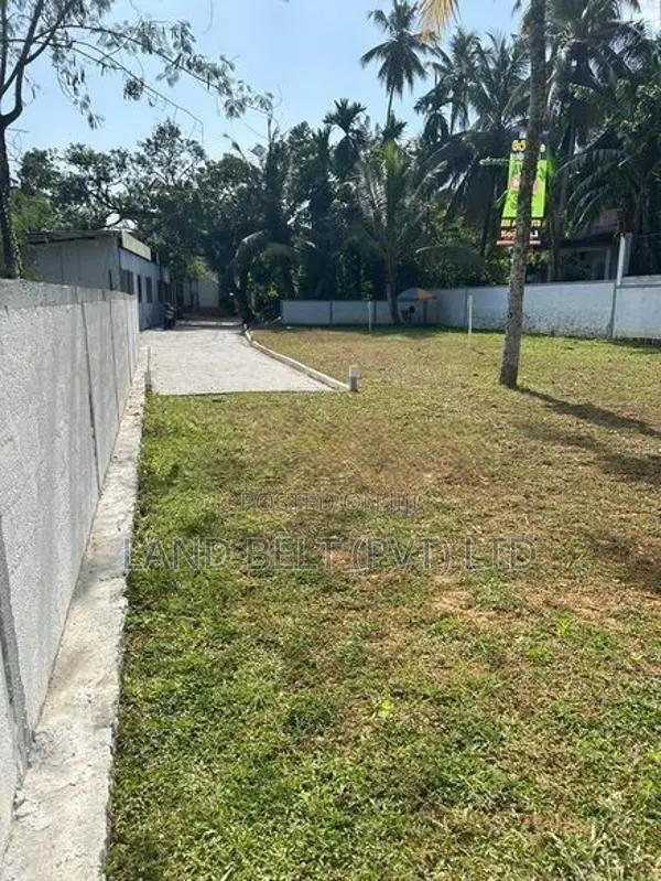මාලපල්ල වෙල්යායට මුහුණලා සුන්දර බිම් කොටස්