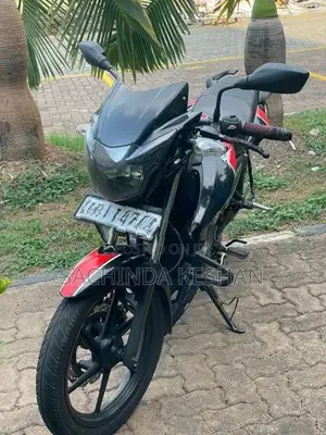 TVS Apache RTR 160 2019