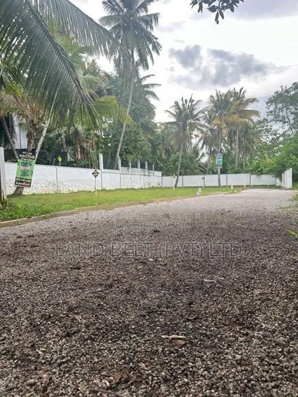 මාලපල්ල ඉඩමක්