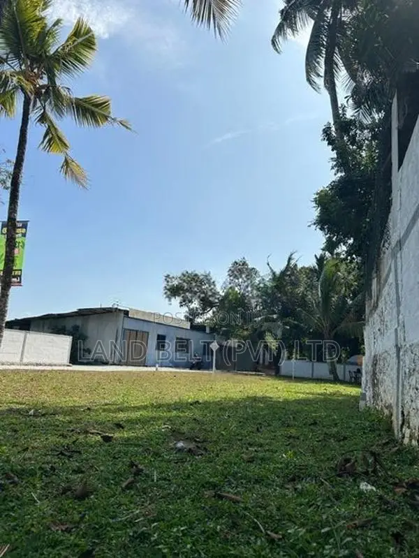 මාලපල්ල වෙල්යායට මුහුණලා සුන්දර බිම් කොටස්